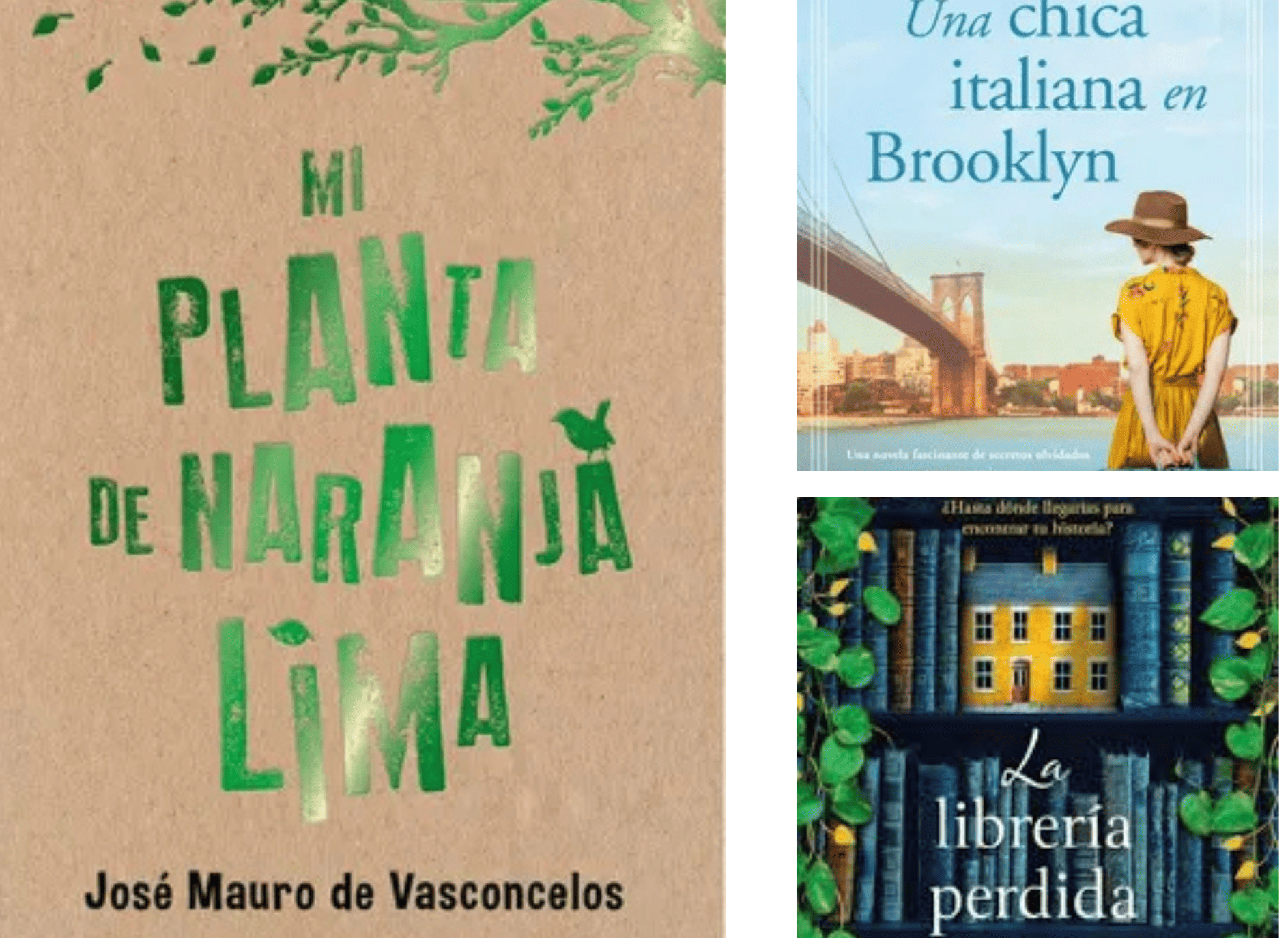 Día Internacional del Libro