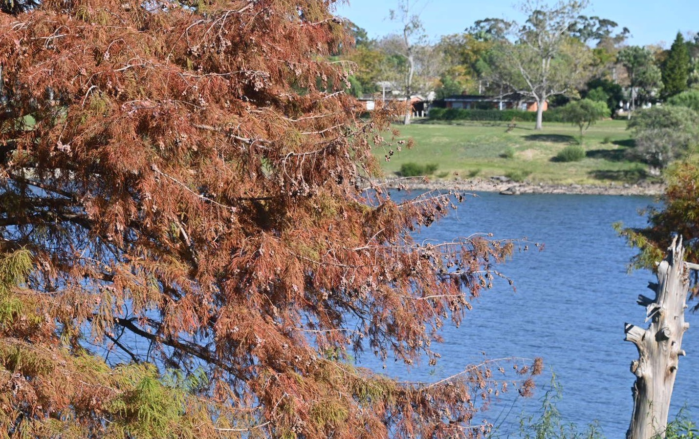 19º Encuentro Internacional de Escultores