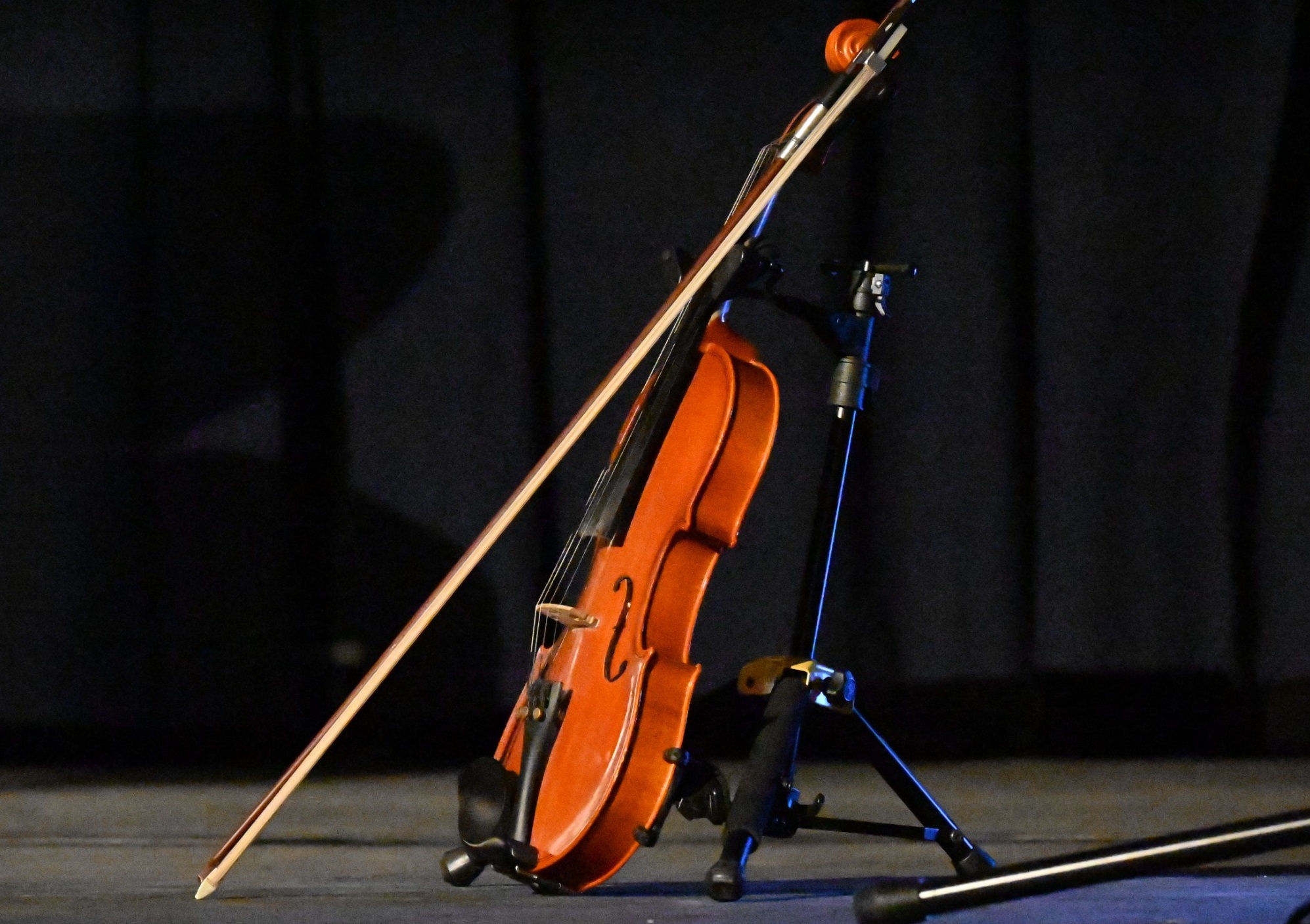 Departamento de Cultura