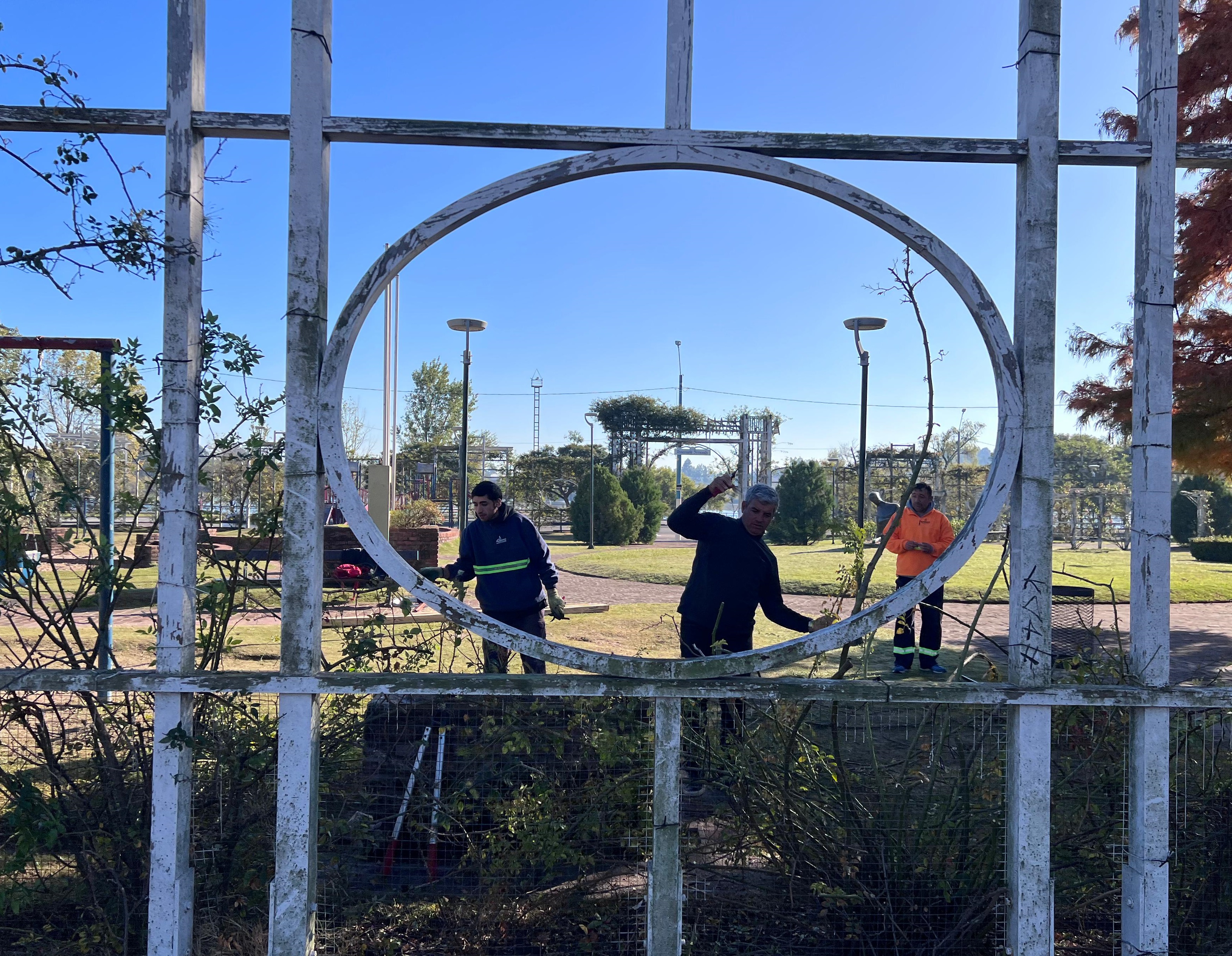 Mejora y mantenimiento en El Rosedal de la plaza Pedro Pasheff