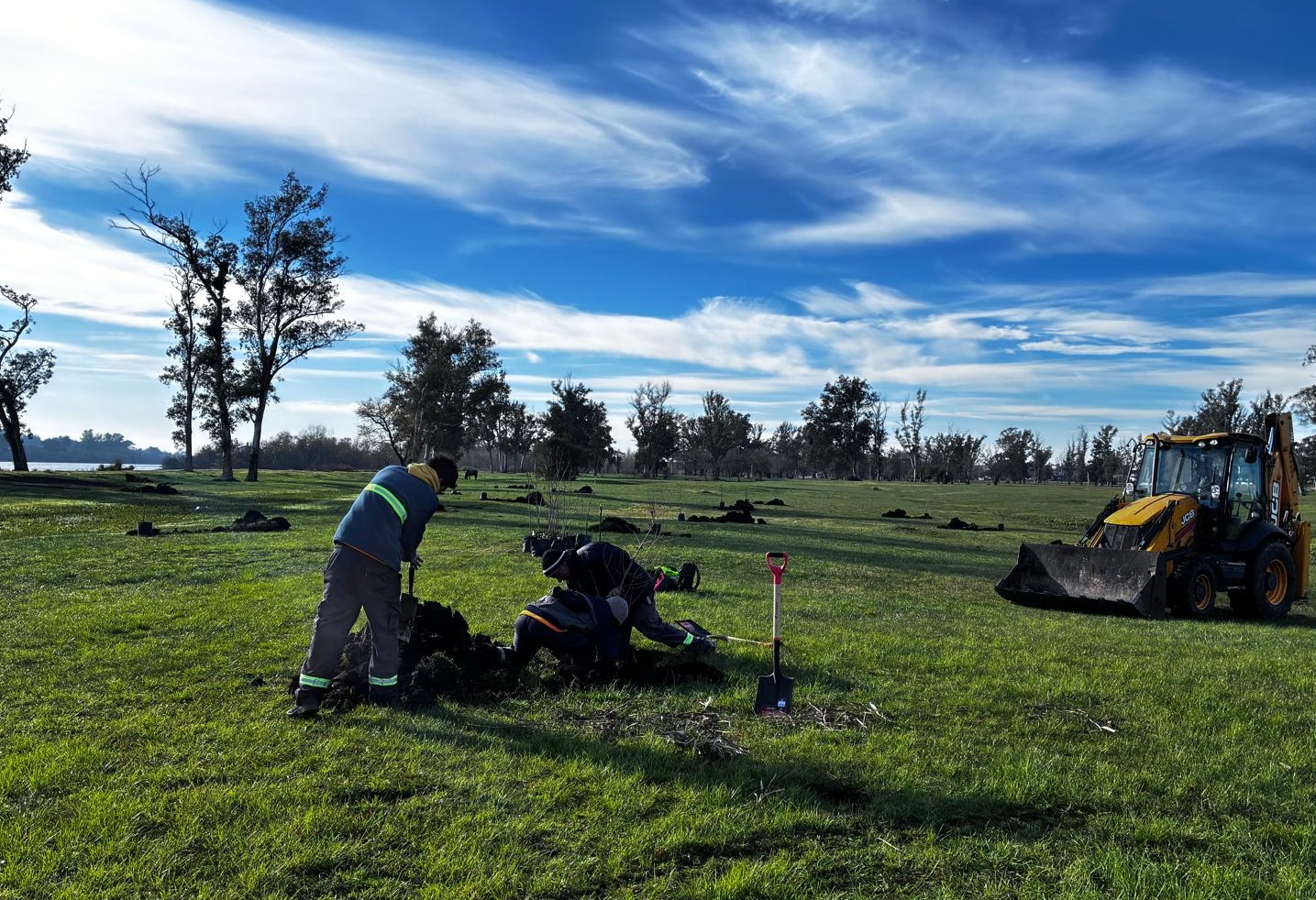 Reforestación en la zona costera