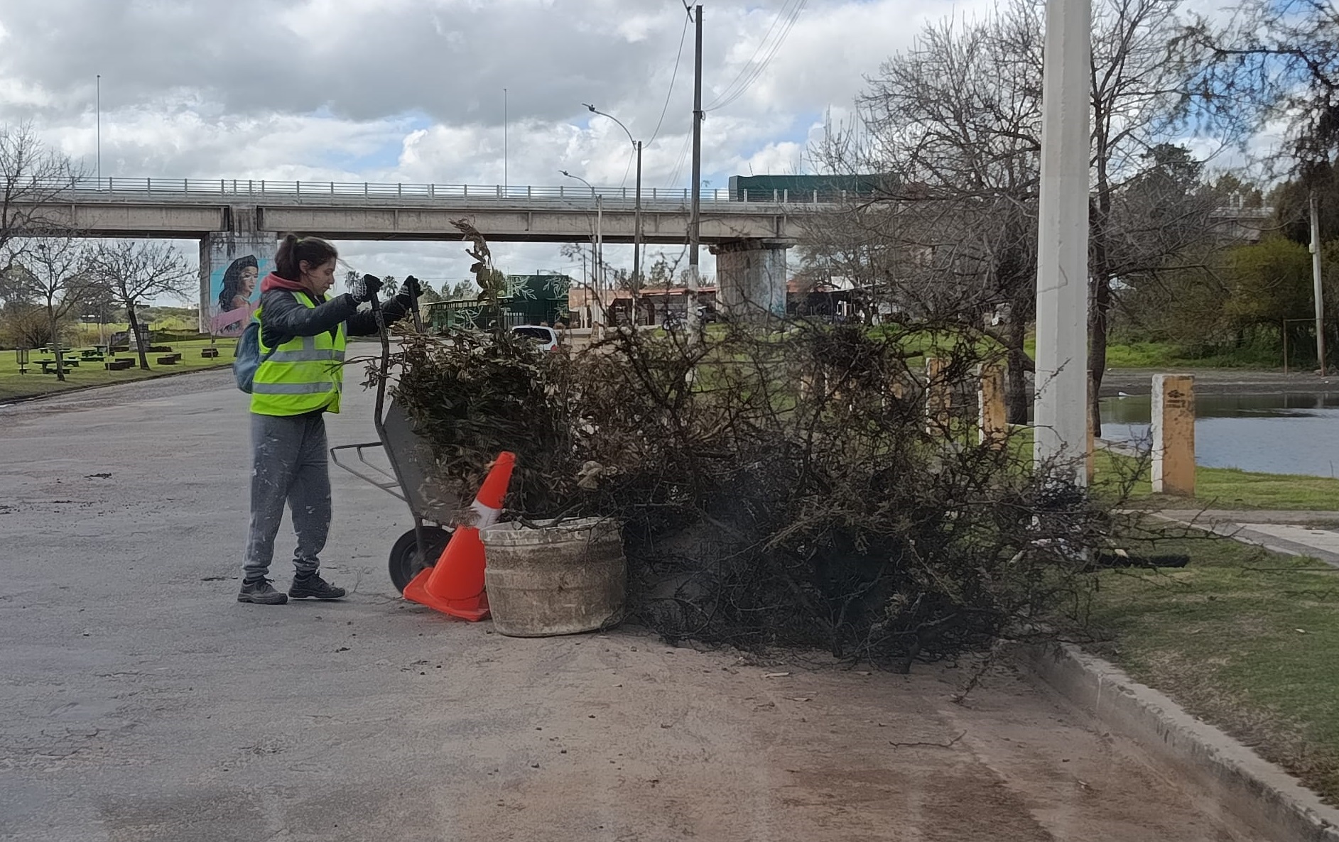 Limpieza de  la extensión de la costanera