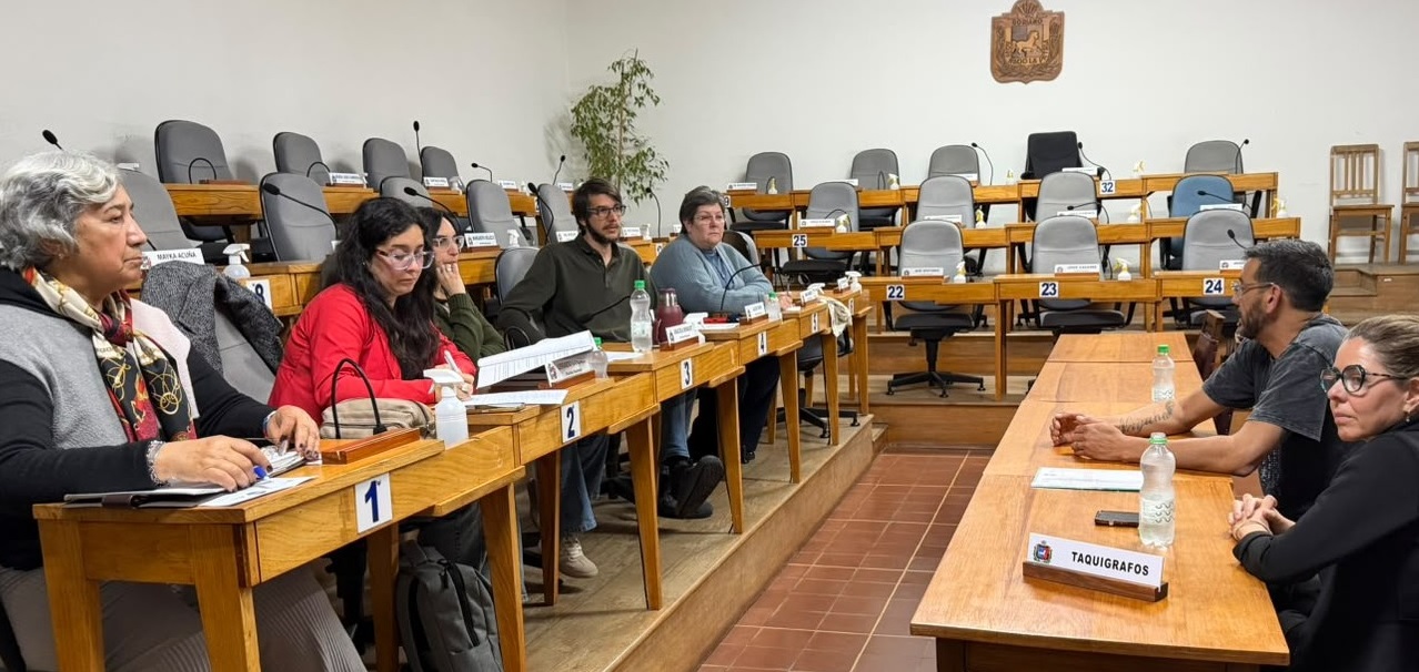 Comisión de DDHH, Equidad y Género