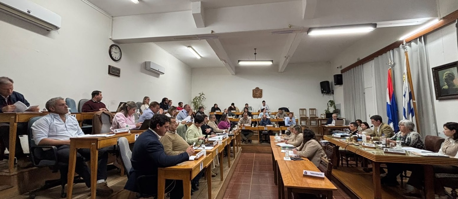 Sesión Ordinaria del Plenario de la Junta Departamental